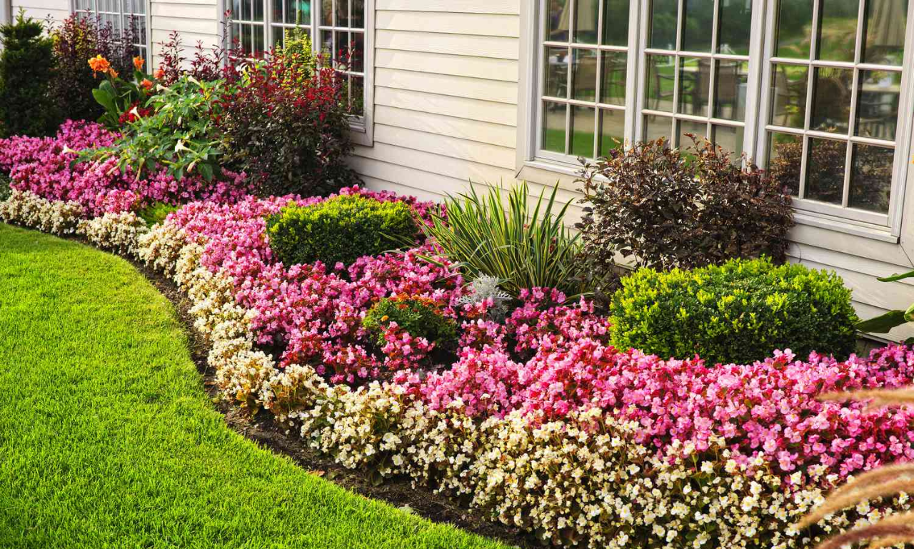 The Ultimate Guide to Garden Edging: Beautify Your Outdoor Space